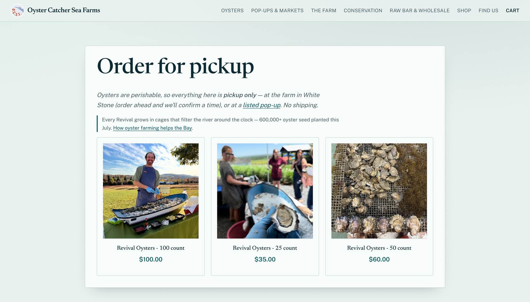 Oyster Catcher shop page